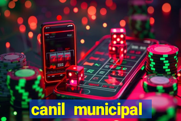 canil municipal porto alegre